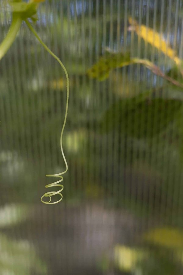 Can AI-Enhanced Self-Learning Platforms Tailor Education for Students with Dyslexia?